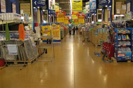 66家中国麦德龙店